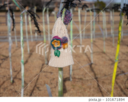 河内町の風景 河内町の風景 101671894