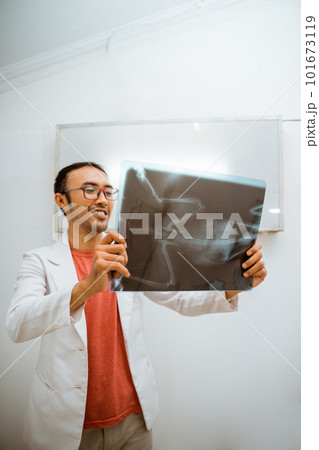 a handsome vet observing an x-ray result against the whiteboard 101673119