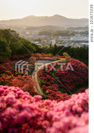 茨城県笠間市　笠間つつじ公園の夕景 101673339