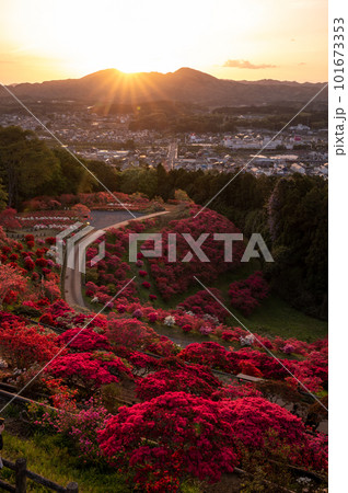 茨城県笠間市　笠間つつじ公園の夕景 101673353