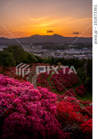 茨城県笠間市　笠間つつじ公園の夕景 101673361
