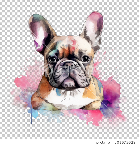 Watercolor store french bulldog