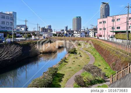 川口散歩:芝川の流れ 葦 川口市領家 川口散歩:芝川の流れ 葦 川口市領家 101673683