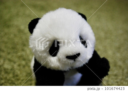かわいいパンダにタッチ 101674423
