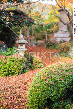 京都北山の源光庵の紅葉 書院から眺める枯山水 京都北山の源光庵の紅葉 書院から眺める枯山水 101674500