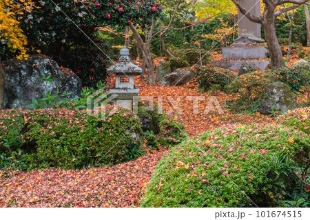 京都北山の源光庵の紅葉 書院から眺める枯山水 京都北山の源光庵の紅葉 書院から眺める枯山水 101674515
