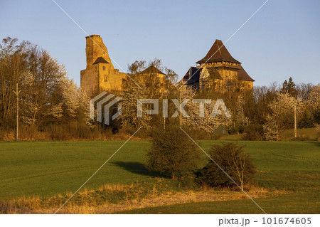Lipnice nad Sazavou castle, Vysocina region, Czech Republic 101674605