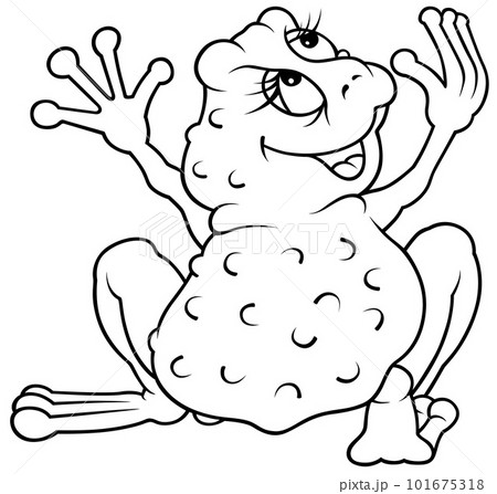 Drawing of a Frog from the Back View 101675318