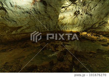 山口県美祢市秋芳洞 101676270