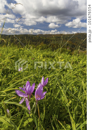 Autumn landscape in Mala Fatra mountains, Slovakia Autumn landscape in Mala Fatra mountains, Slovakia 101676554