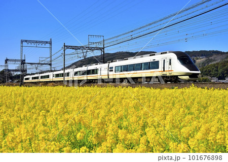 菜の花畑を走る近鉄特急アーバンライナー 101676898