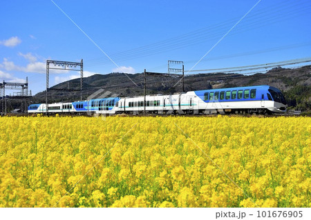 菜の花畑を走る近鉄特急しまかぜ① 菜の花畑を走る近鉄特急しまかぜ① 101676905