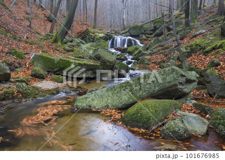 Maly Stolpich waterfall, Jizerskohorske buciny, UNESCO site, Northern Bohemia, Czech Republic 101676985