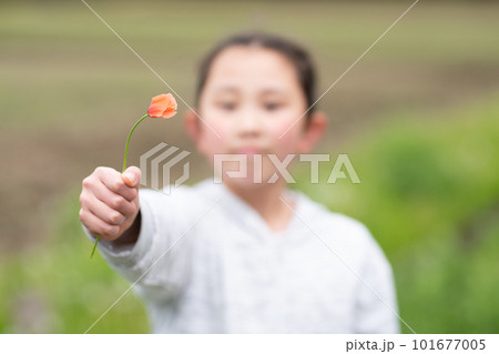 花を差し出す女の子 花を差し出す女の子 101677005