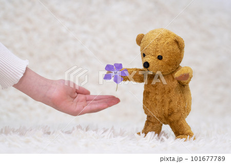 花を差し出す熊の縫いぐるみと受け取る子供の手 花を差し出す熊の縫いぐるみと受け取る子供の手 101677789