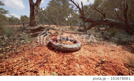 life ring buoy in desert beach life ring buoy in desert beach 101678061