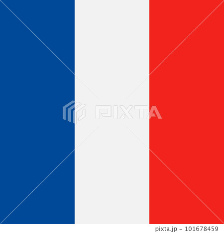 Vector flat France flag 101678459
