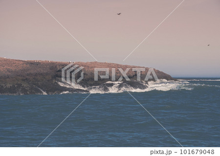 Coastal seascape, Santa Cruz Province,Patagonia, Argentina 101679048