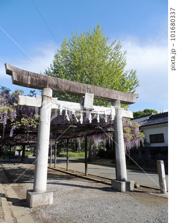 大天白神社　大天白公園 101680337