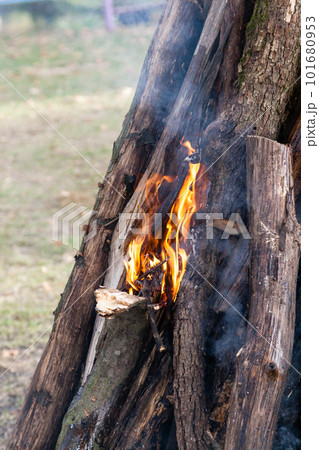 fire in the wood 101680953