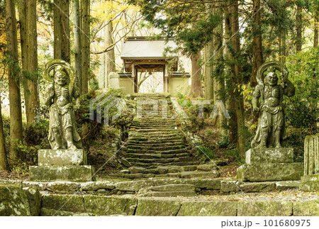 両子寺と仁王像　国東半島の古寺　木々に囲まれたお寺の参道　大分観光スポット　パワースポット 101680975