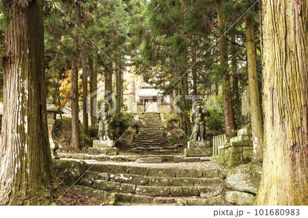 両子寺と仁王像　国東半島の古寺　木々に囲まれたお寺の参道　大分観光スポット　パワースポット 101680983