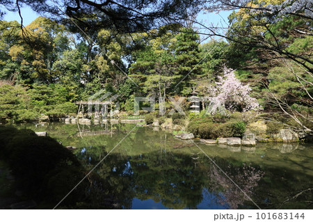 京都市の平安神宮境内の中にある中神苑と蒼龍池の風景 京都市の平安神宮境内の中にある中神苑と蒼龍池の風景 101683144