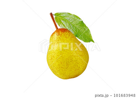 Rocha pear whole fruit and green leaf isolated on white 101683948