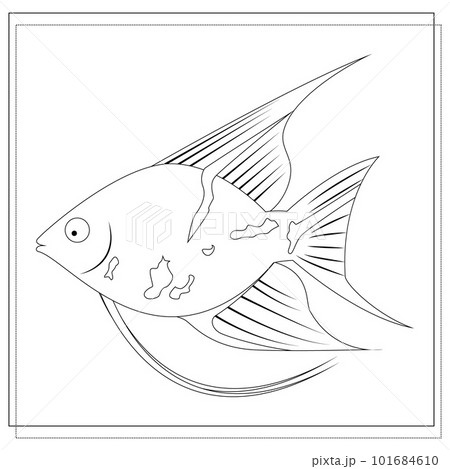 coloring book for children, the image of a fish. vector, isolated on a white background coloring book for children, the image of a fish. vector, isolated on a white background 101684610