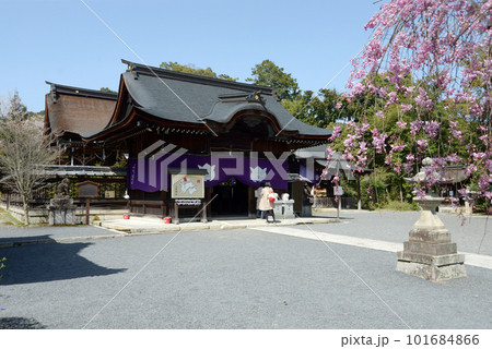 三尾神社 境内 滋賀県大津市園城寺町 三尾神社 境内 滋賀県大津市園城寺町 101684866