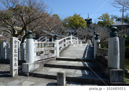 金戒光明寺　石橋から三重塔を望む　京都市左京区黒谷町 101685051