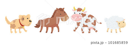 Farm Animal with Horse, Cow, Sheep and Dog Vector Set Farm Animal with Horse, Cow, Sheep and Dog Vector Set 101685859