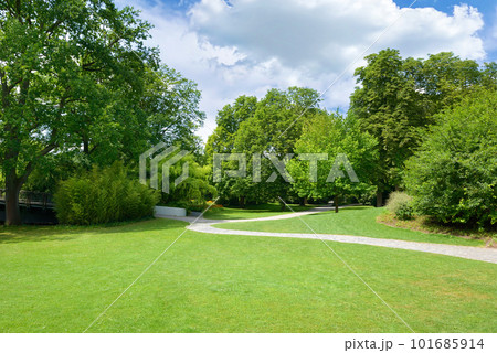 Beautiful meadow in the park Beautiful meadow in the park 101685914