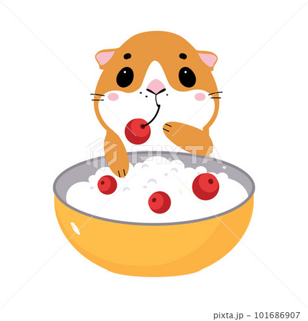 Cute little pet guinea pig with bowl of porridge cartoon vector illustration Cute little pet guinea pig with bowl of porridge cartoon vector illustration 101686907