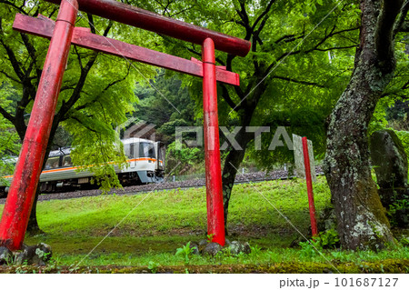 【高山本線】飛水峡を通過する臨時の特急ひだ81号 101687127