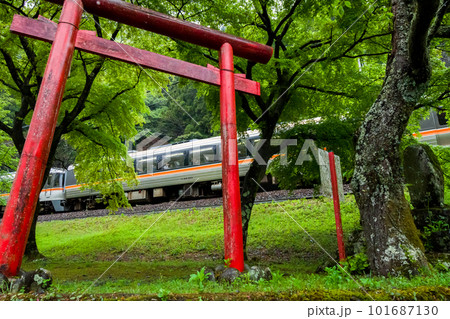 【高山本線】飛水峡を通過する臨時の特急ひだ81号 101687130