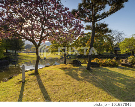 桜の咲く奈良公園三社託宣池の風景 桜の咲く奈良公園三社託宣池の風景 101687843
