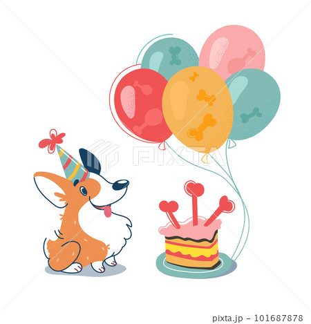 Cute Corgi on his birthday. Dog with his tongue sticking out, in a festive cap. Party with cake and balls. Welshkorgi in cartoon style. Dog isolated on white, vector illustration 101687878