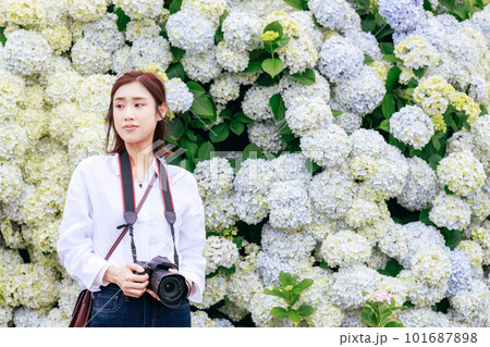 紫陽花をバックにカメラを持った若い女性 紫陽花をバックにカメラを持った若い女性 101687898