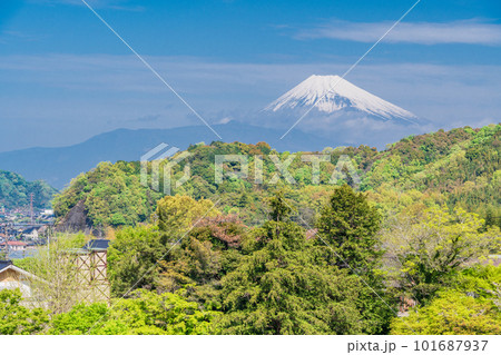 (静岡県)新緑が美しい茶畑越しに、W世界遺産 韮山反射炉と富士山 (静岡県)新緑が美しい茶畑越しに、W世界遺産 韮山反射炉と富士山 101687937