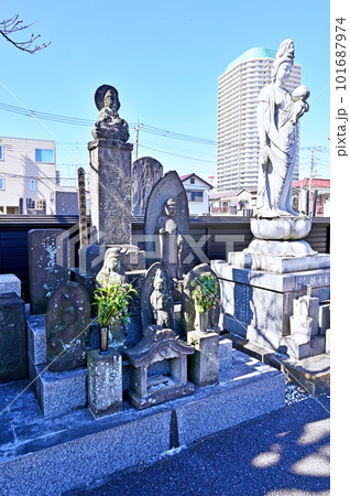 川口散歩:正覚寺 曹洞宗 観世音菩薩 川口市元郷 川口散歩:正覚寺 曹洞宗 観世音菩薩 川口市元郷 101687974