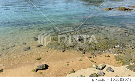 透明な美しい海。 透明な美しい海。 101688078