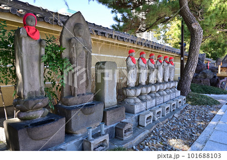 川口散歩:随泉寺 真言宗智山派 川口市元郷 川口散歩:随泉寺 真言宗智山派 川口市元郷 101688103