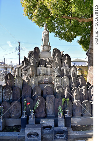 川口散歩：随泉寺　真言宗智山派　川口市元郷 101688115