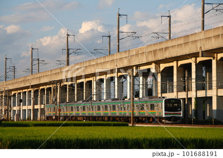 下野市内を行く宇都宮線205系(小金井発黒磯行) 下野市内を行く宇都宮線205系(小金井発黒磯行) 101688191
