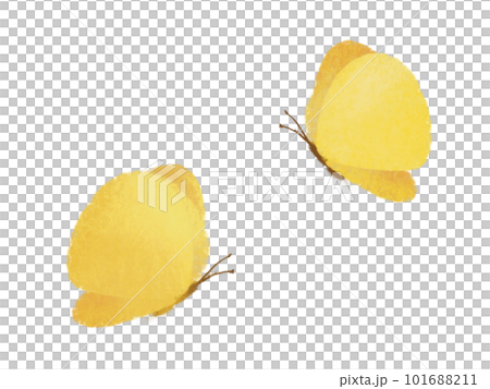 彩色鉛筆風格的手繪黃色蝴蝶插圖，氣氛柔和 101688211