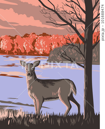 White Tailed Deer at Rouge National Urban Park in Greater Toronto Area Ontario Canada WPA Poster Art 101688474