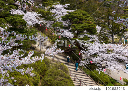 桜のある階段 101688948