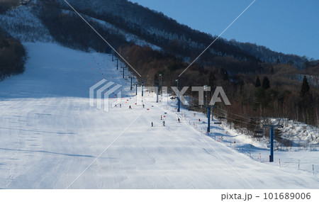 スキー場でスラローム競技の練習をするスキーヤー 101689006