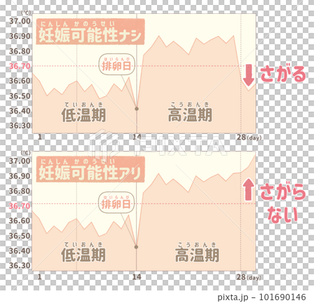 圖解插圖比較懷孕可能性的基礎體溫表 101690146